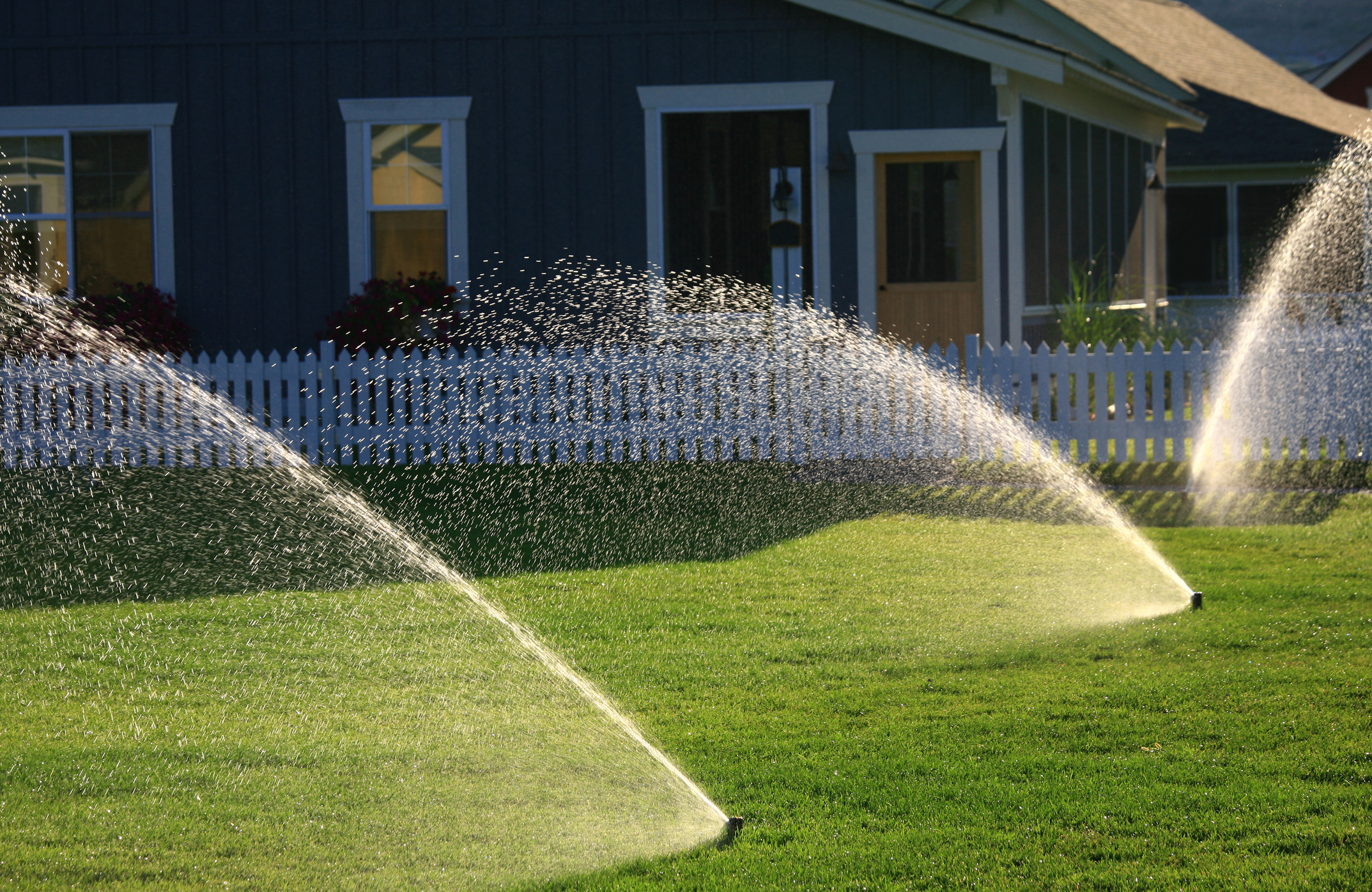 Sprinklers spraying across a sunlit lawn at golden hour