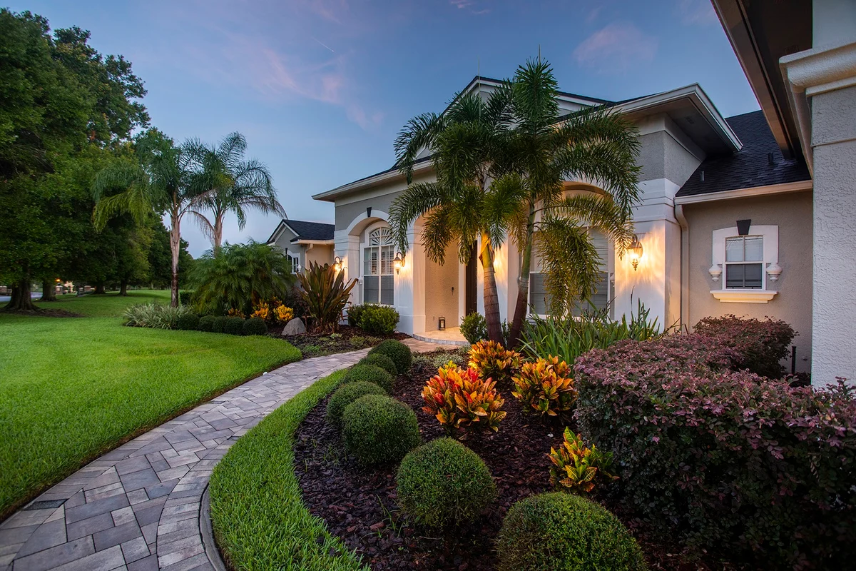 Manicured front yard with palm trees and lit pathway