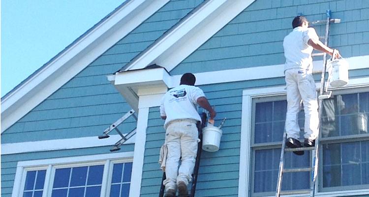 Two Hollander painters on ladders working on a blue clapboard exterior